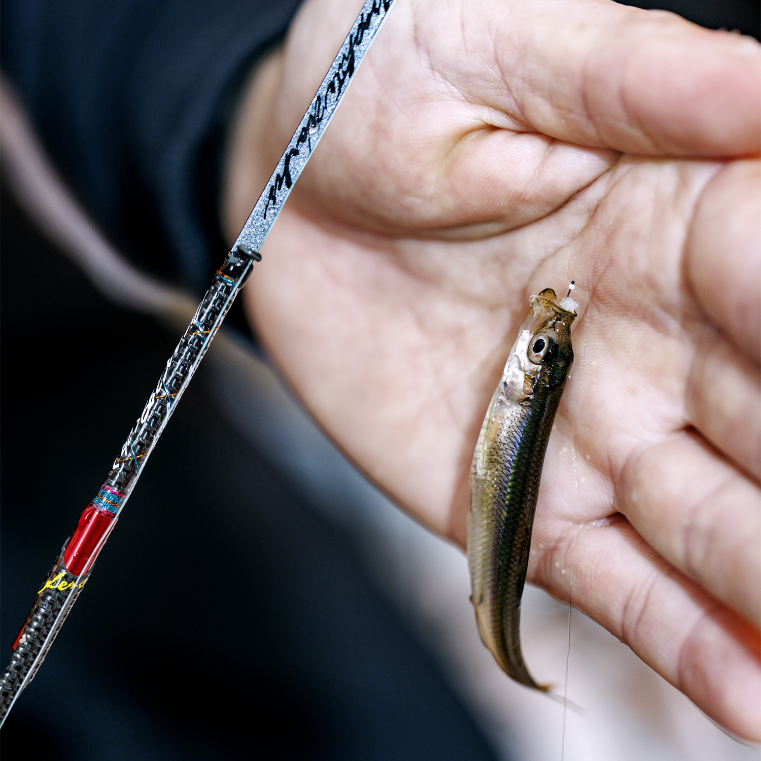 ワカサギ穂先 MAX299＜改＞ - 製品情報 - 株式会社バリバス