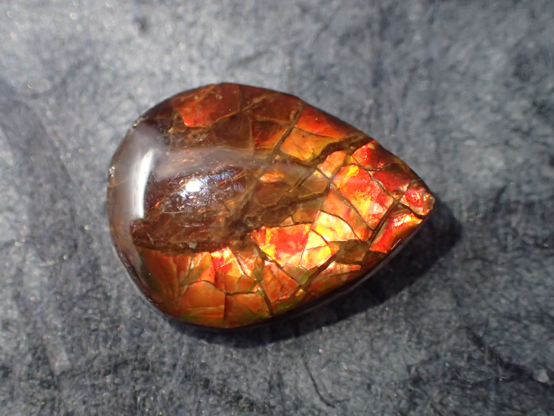 ルース・裸石｜アンモライト ｜石の販売専門店【vec stone club】