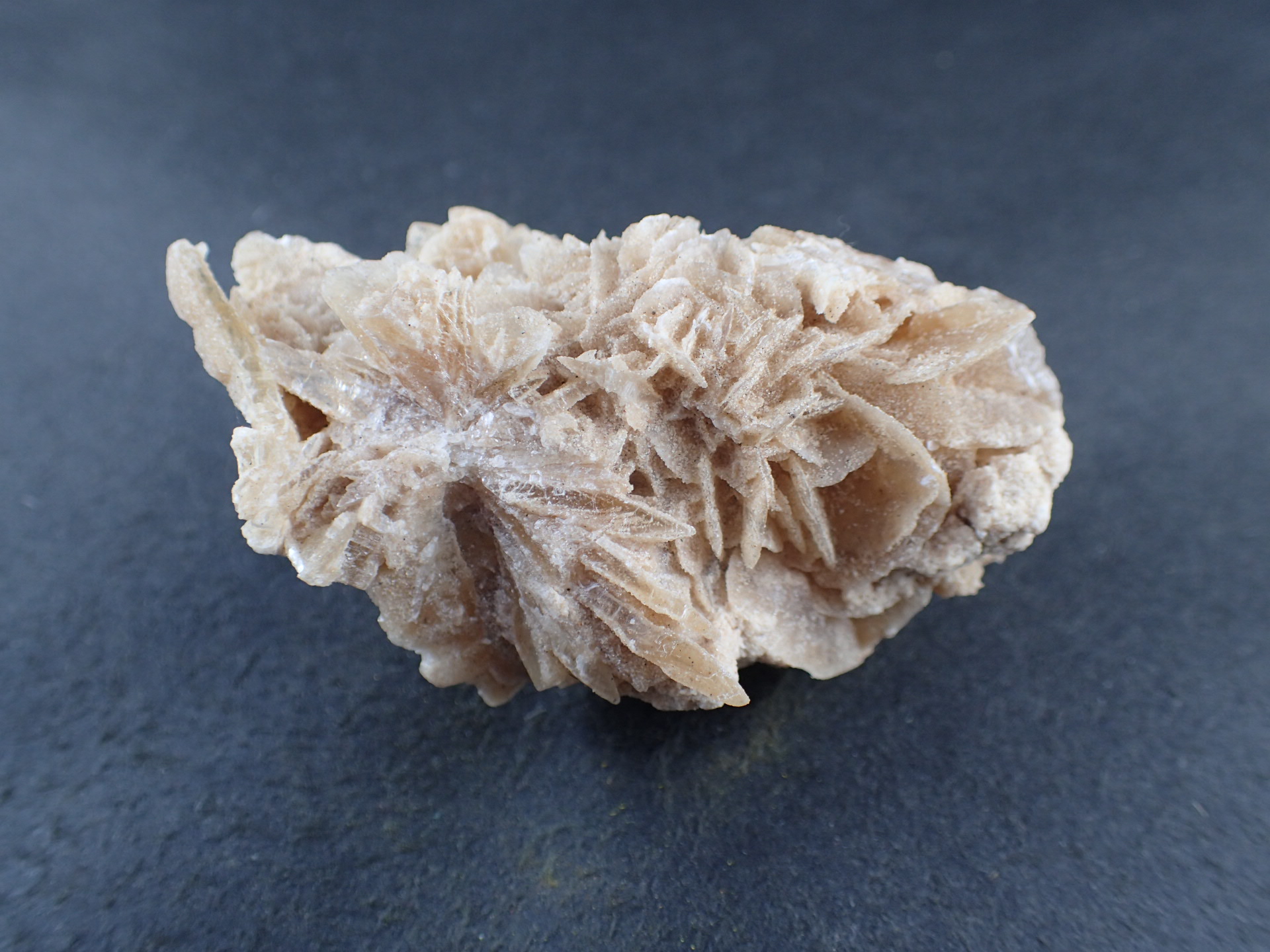 砂漠の薔薇（デザートローズ） ｜石の販売専門店【vec stone club】