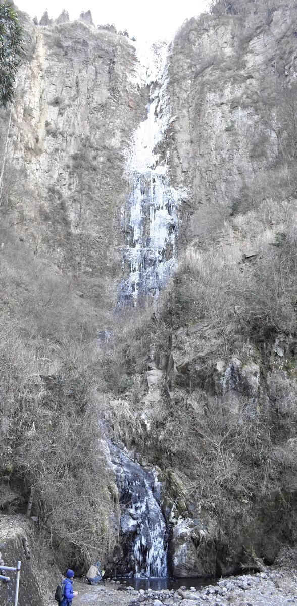 熊本：いてつくほど寒く 阿蘇「古閑の滝」 ：地域ニュース : 読売新聞
