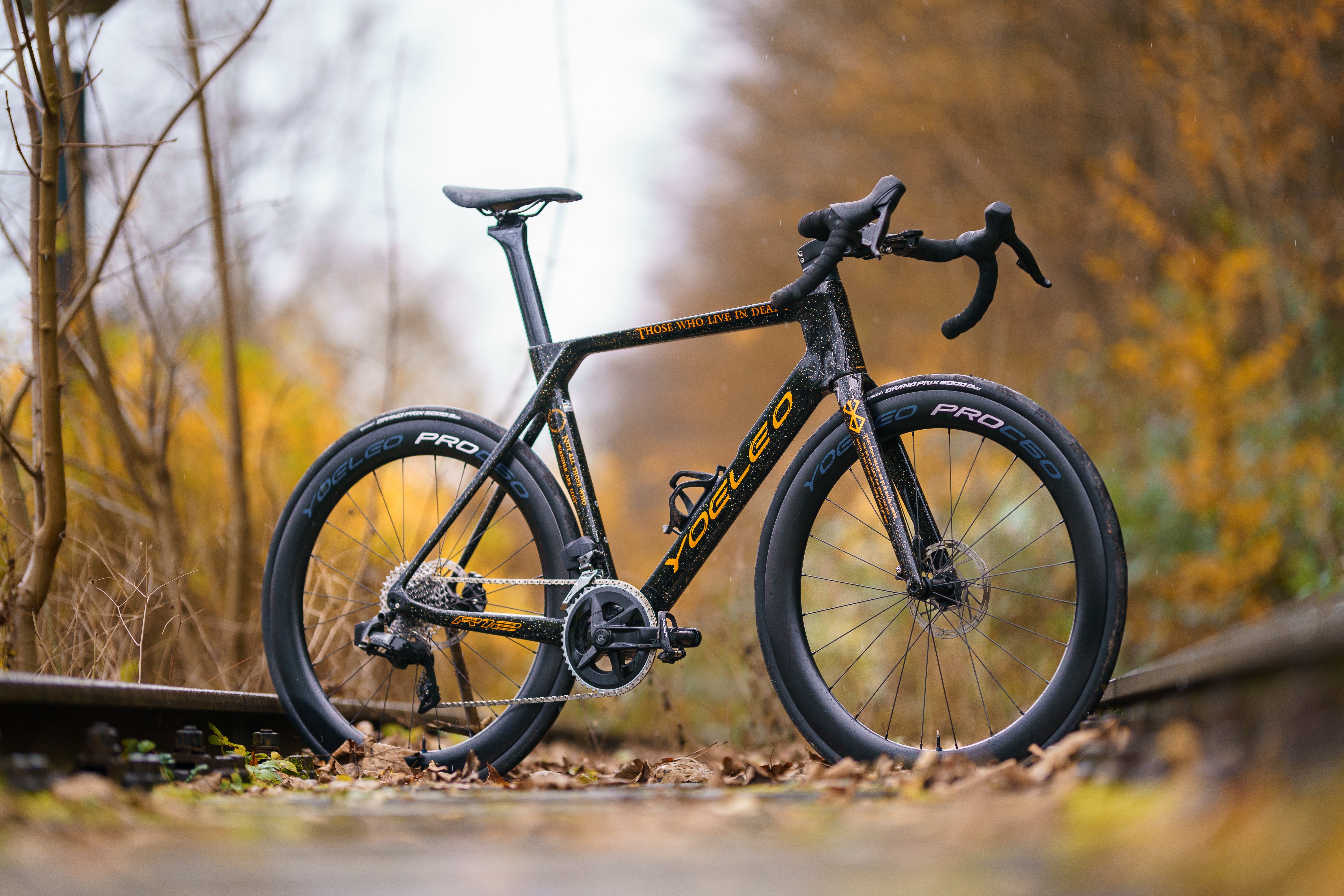 Best Carbon Wheels - Best Affordable Carbon Wheelset for Road