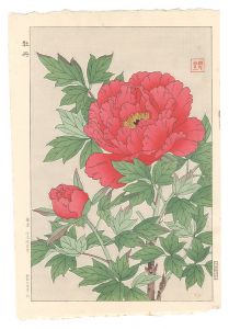 河原崎奨堂 | 美術作品 | 山田書店美術部オンラインストア