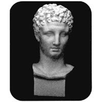 石膏デッサン 頭像 ヘルメス首像 【廃番】 | ゆめ画材