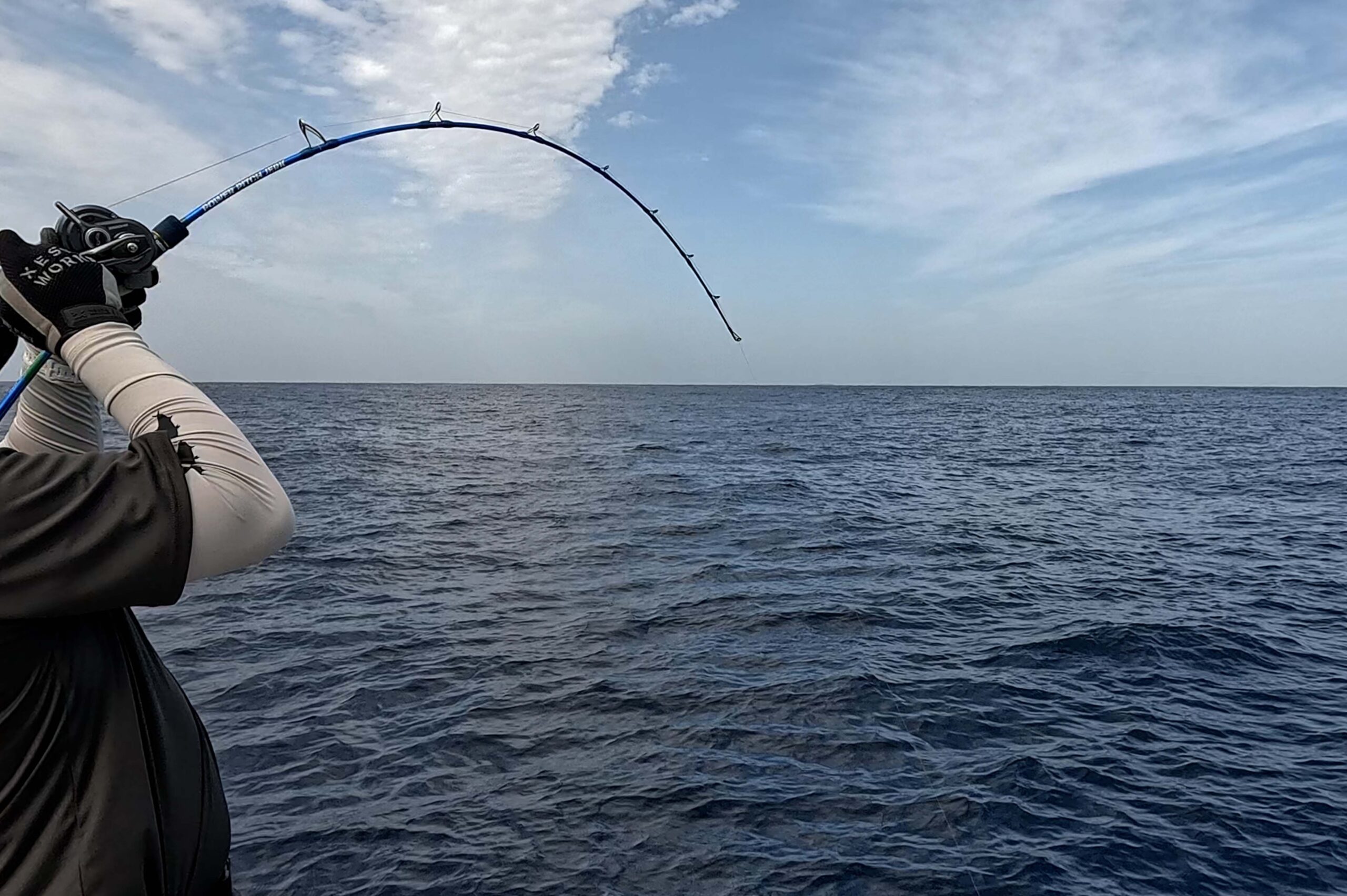 PPJ UPDATE - XESTAゼスタ公式ウェブサイト