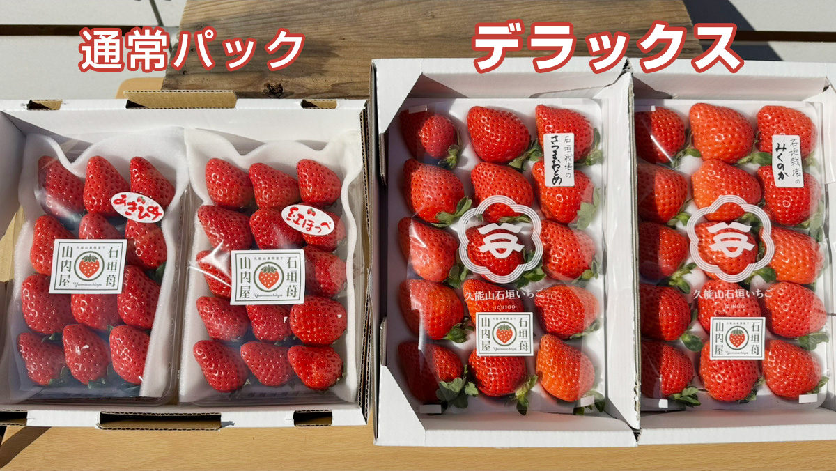 いちごの大きさ比較（通常・デラックス） ｜ 静岡いちご狩りなら山内屋