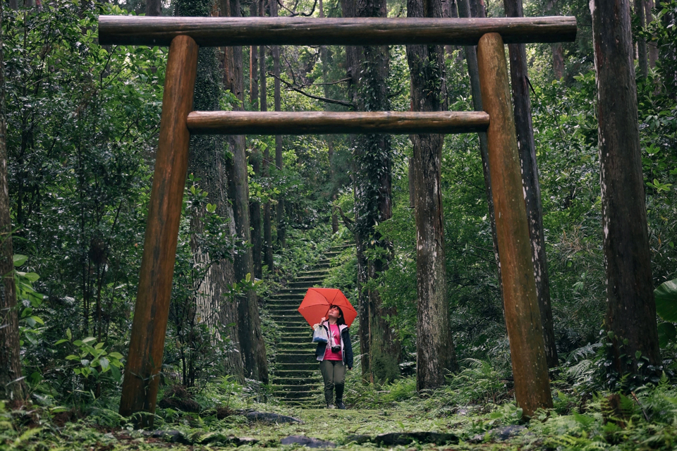 特集〜車で行ける！屋久島フォトスポット巡り10選 | 屋久島観光協会