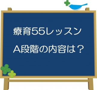 四谷学院療育55段階プログラムの内容は？どんなことを学ぶの？【A段階
