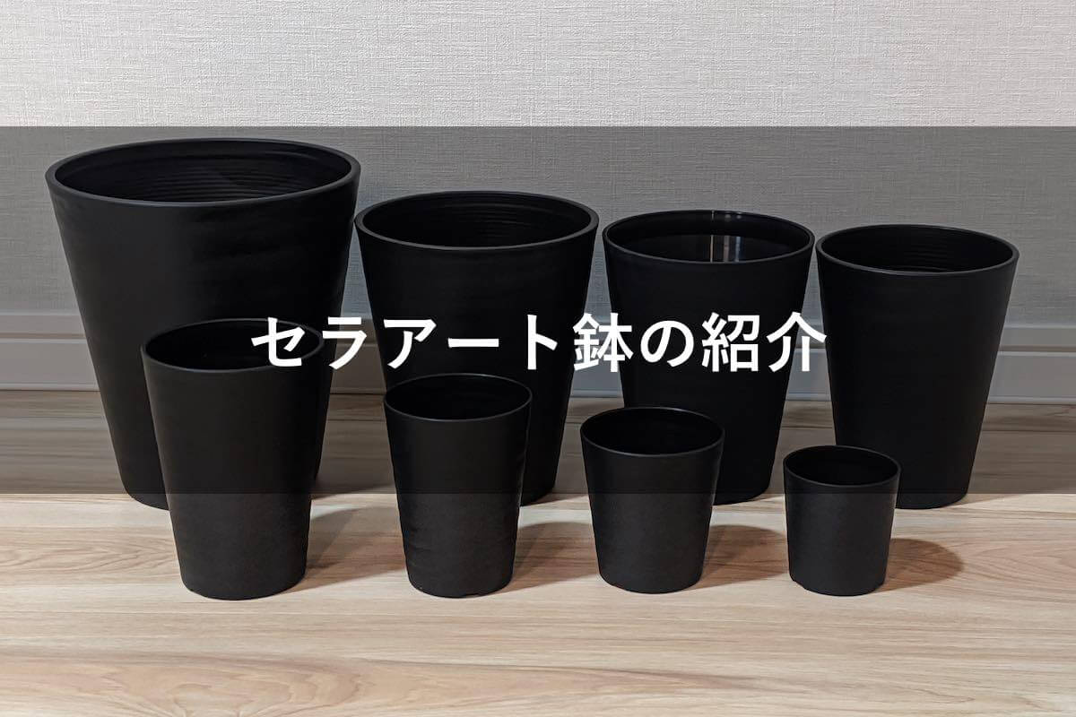 セラアート鉢の紹介、セラアート鉢の使い勝手をレビュー – ゆるぷ