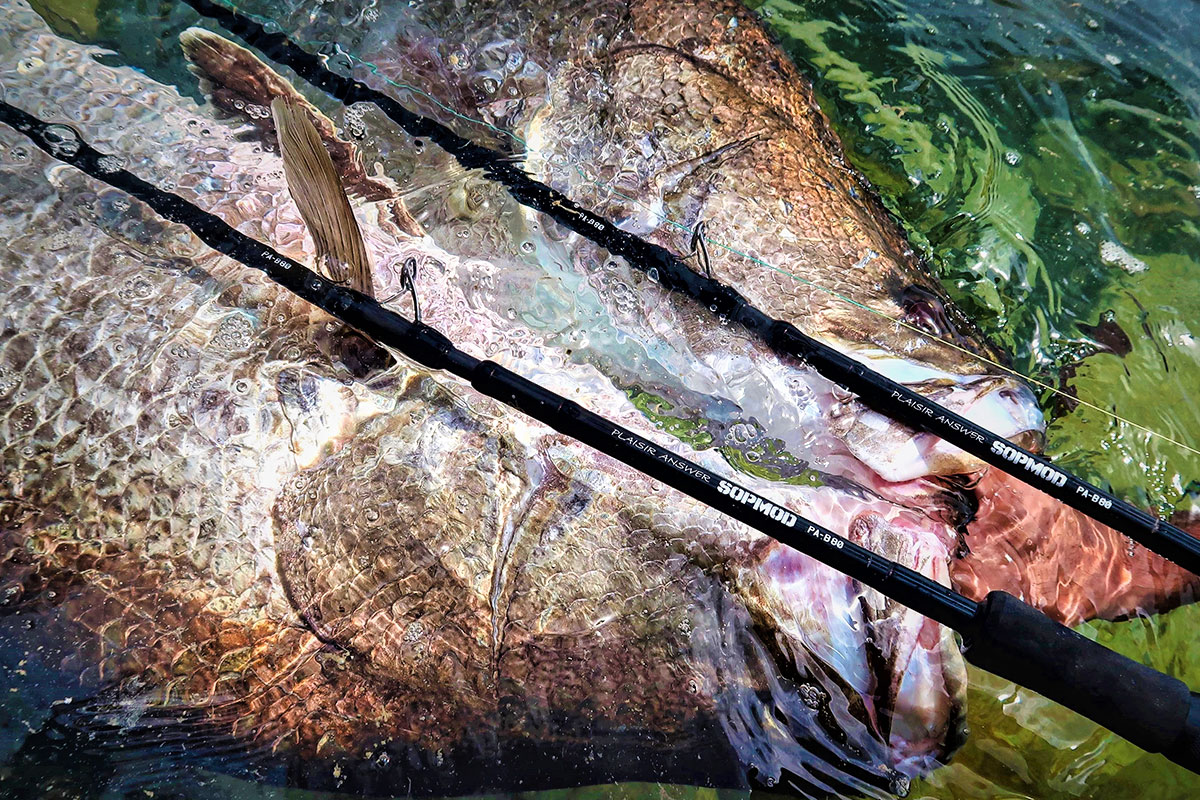 PLAISIR ANSWER SOPMOD - ZENAQ | Official-Web