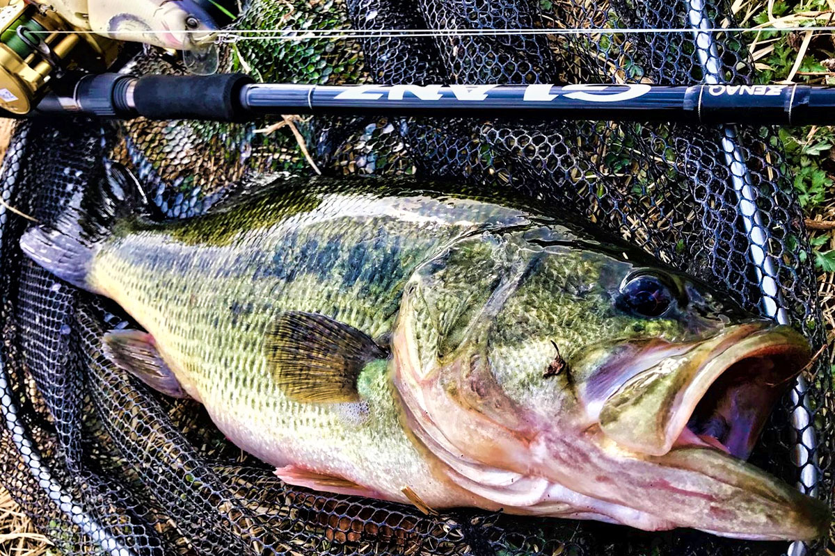 ゼナック GLANZ 本物 グランツ 70-3X ゼナック グランツ70-3X ゼナック