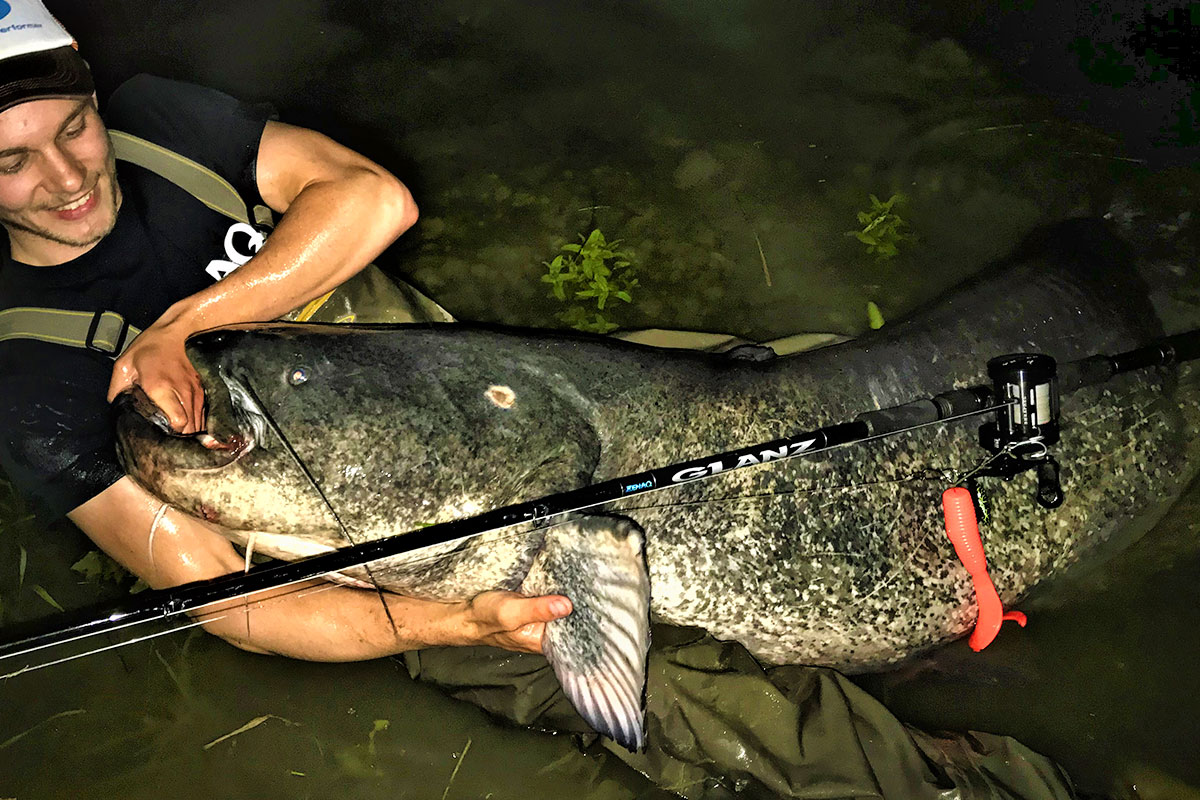 ゼナック グランツ70-3X オンライン ゼナック グランツ70-3X Yahoo