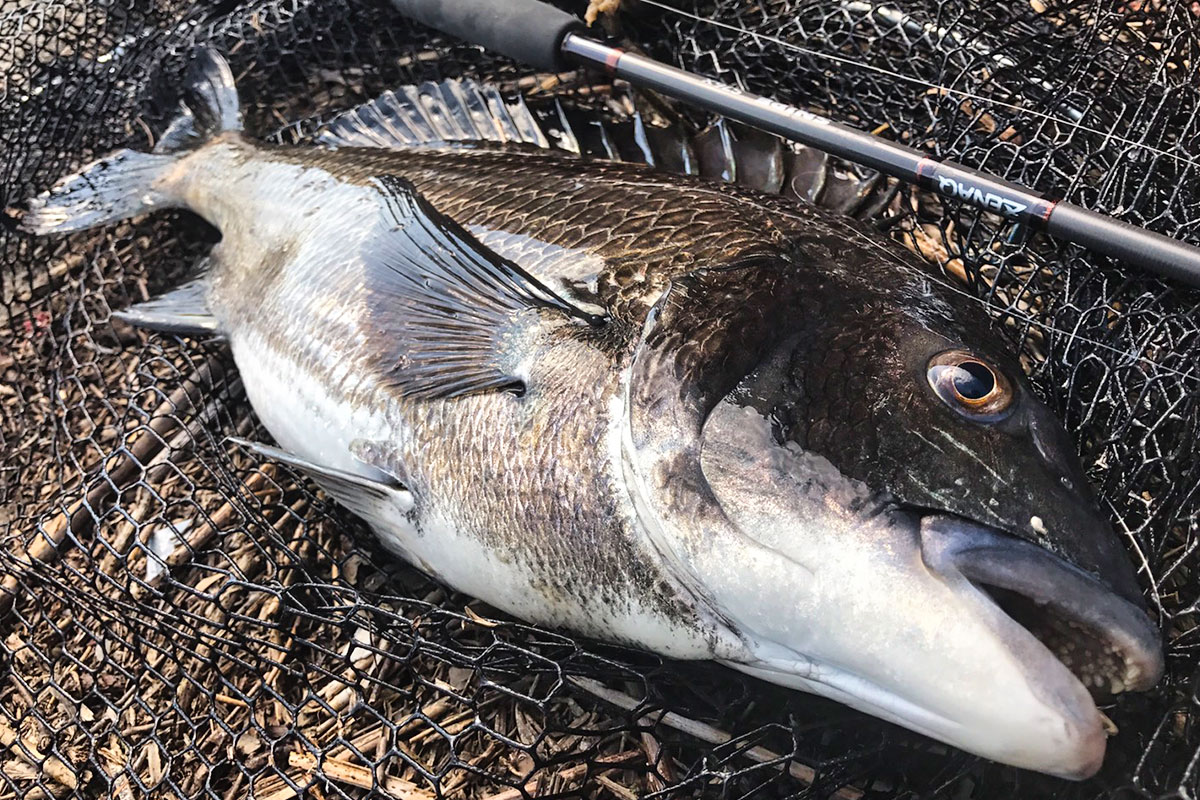 SNIPE - ZENAQ(ゼナック) | オフィシャルサイト