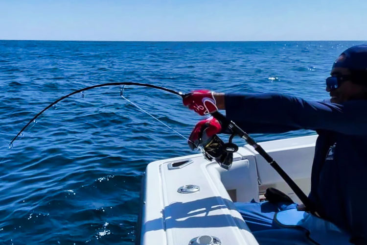 ゼナック フォキート イカリFS64-5.5 スピニングリール【ボイド管で