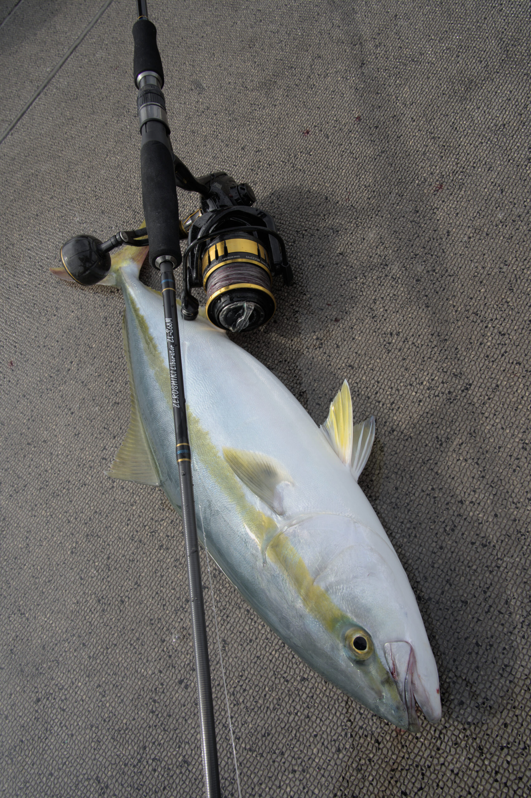 スーパーマルチの証明 ZEROSHIKI Liberatorで攻略~山口県角島沖汐巻の