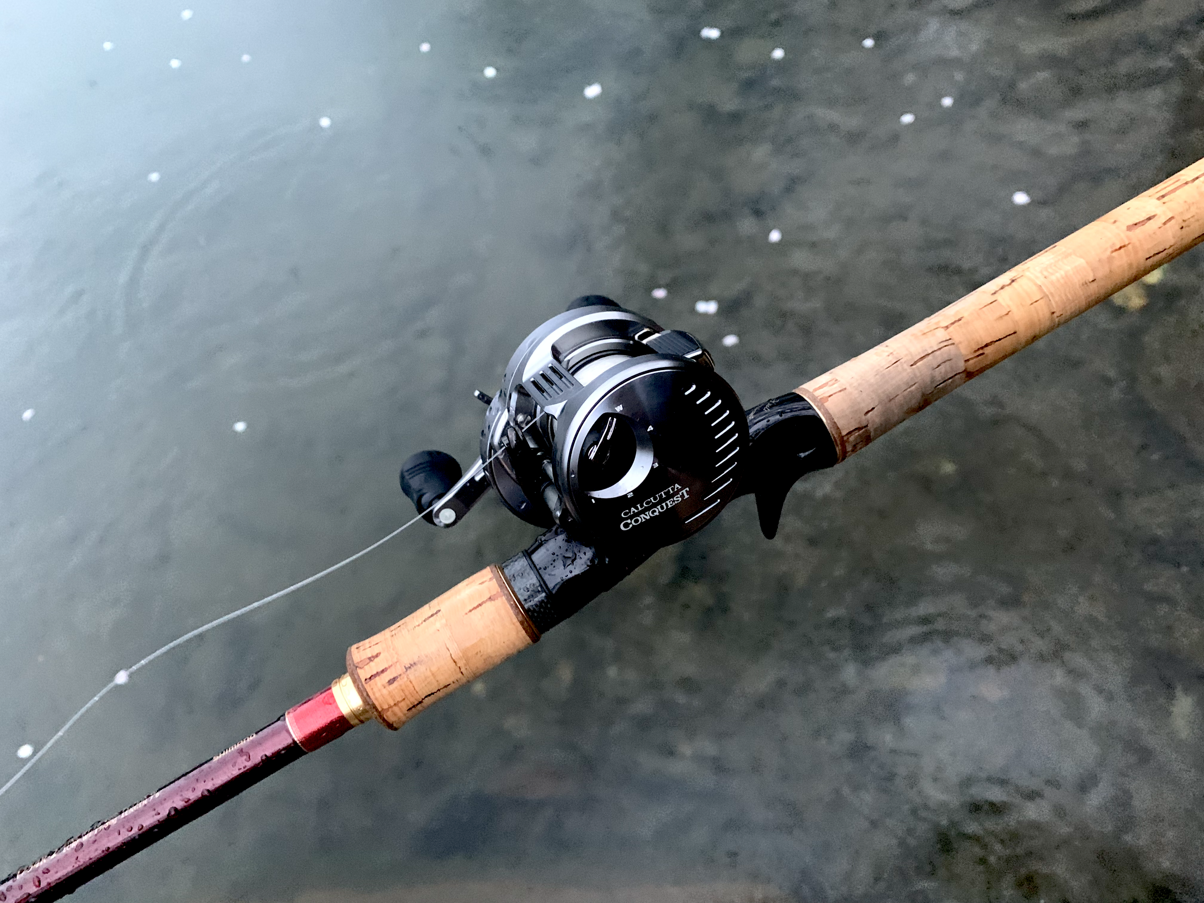 1年間使用した19カルカッタコンクエストDC200の詳細インプレ - Kの