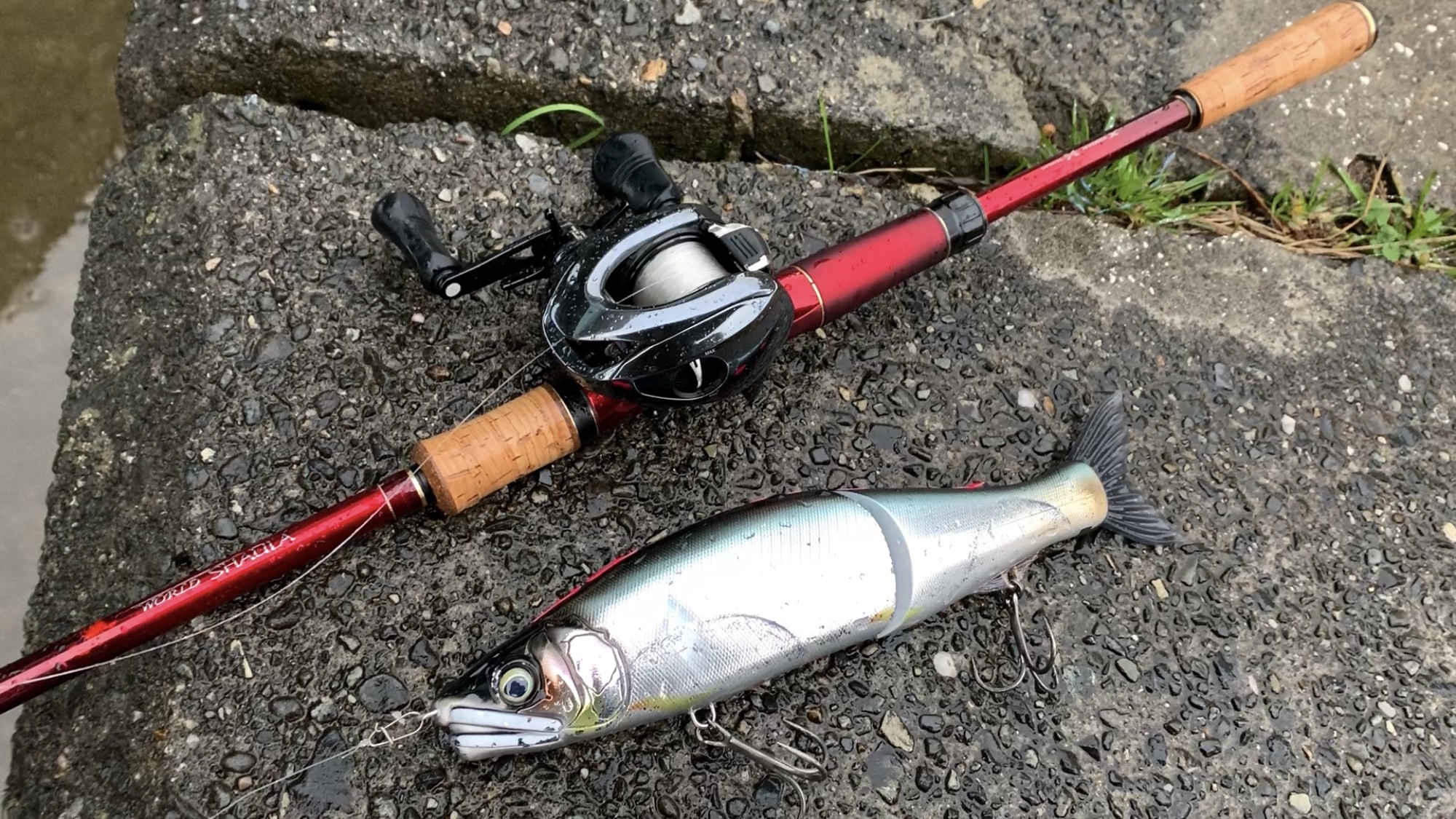 ワールドシャウラ17114R-2のインプレ。琵琶湖行く人には超絶オススメな