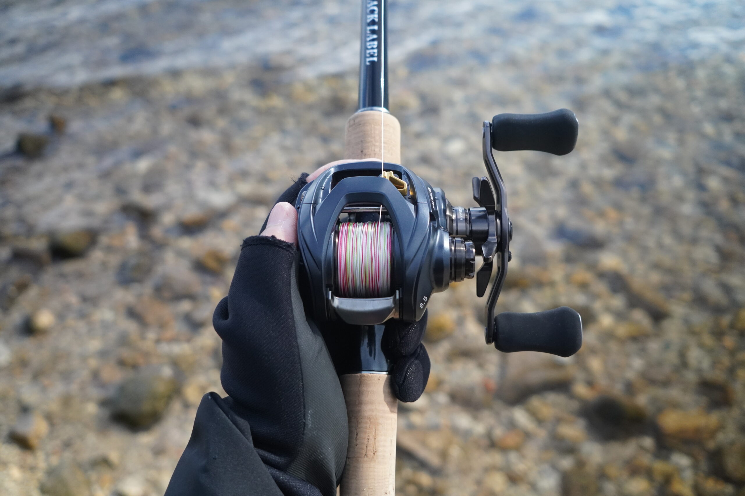 23スティーズAⅡ TW】ジリオンHDと並ぶダイワ最強ベイトリールだ