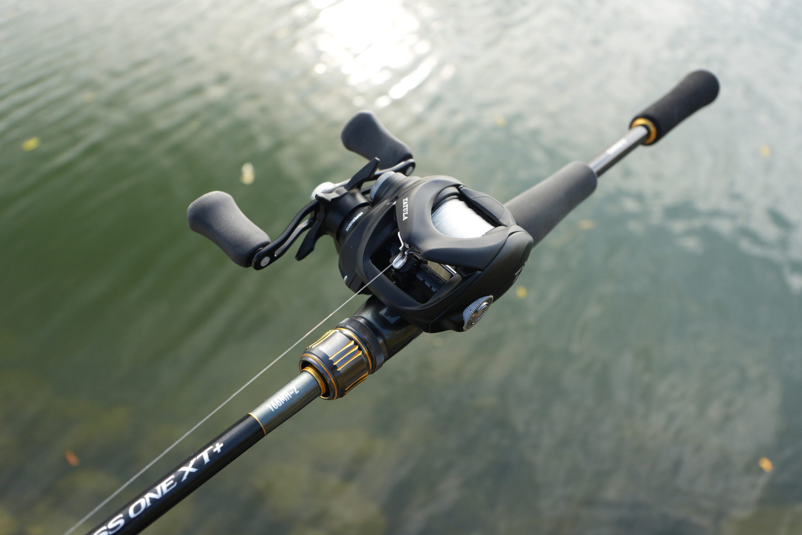 24タトゥーラTW 100！最高のボディに生まれ変わったコスパベイトを