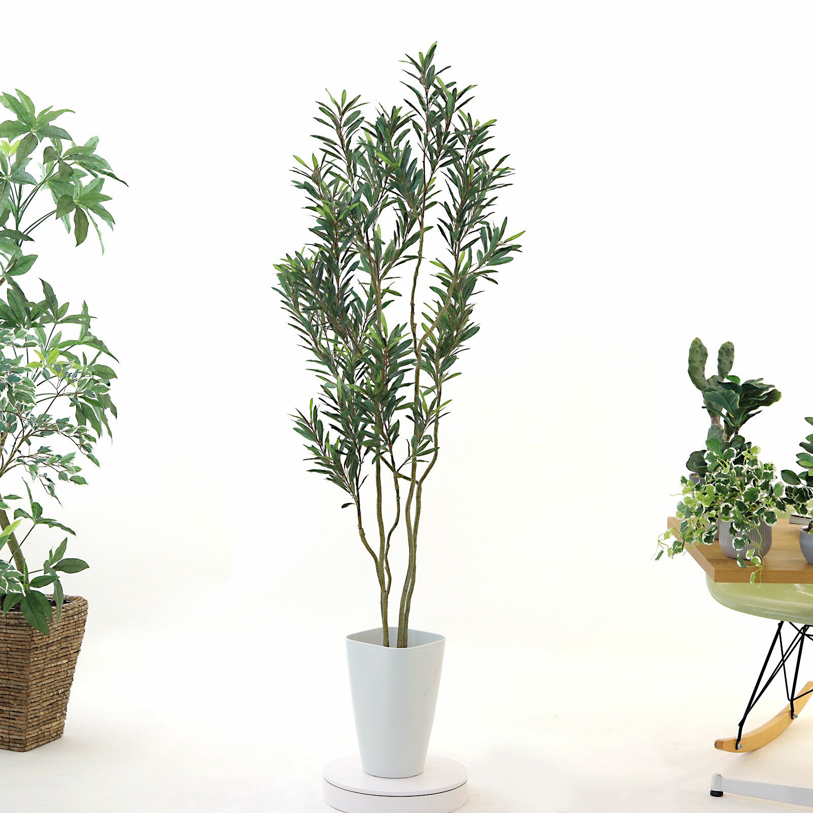 000000000200-24.jpg?t=