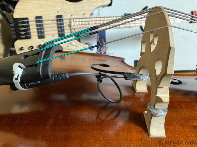 REALIST（レアリスト）LIFELINE ウッドベース用ピックアップ - zuntyan.com