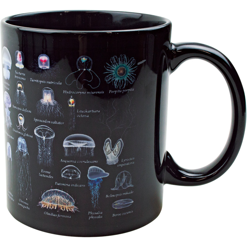 大全マグカップ：海月大全 – 株式会社ザ・アクセス-TheACCESS-