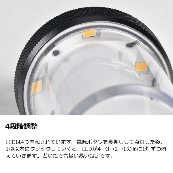 ゼインアーツ ジグ LT-003 – aandfonlinestore