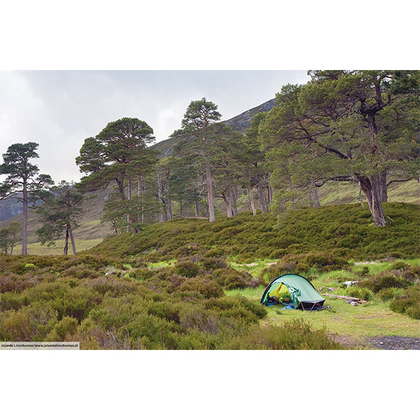 ヒルバーグ アクト グリーン – aandfonlinestore