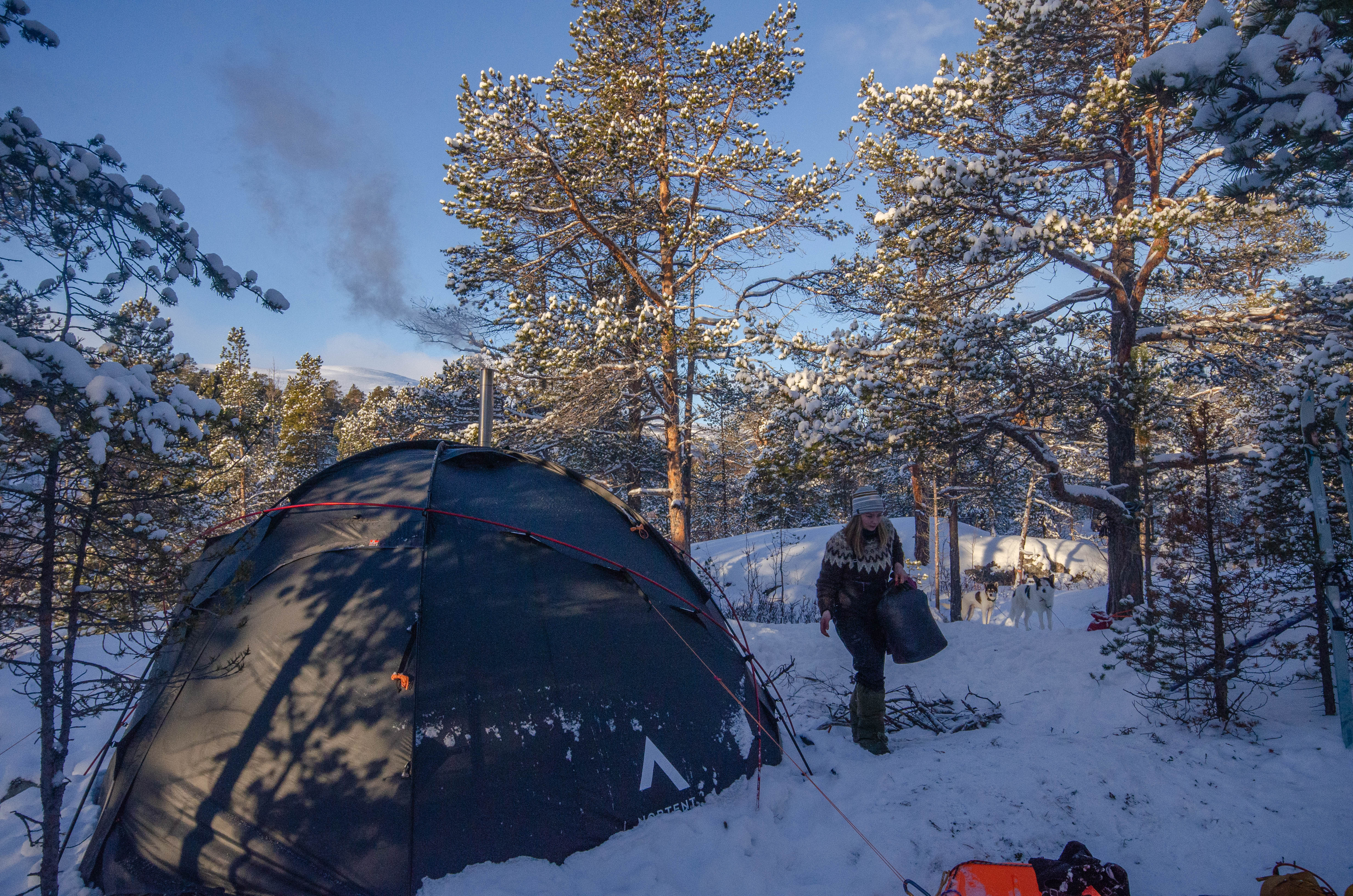 NORTENT Gamme 8 -Stone Gray- ARCTIC / EXTREME – Ablaze