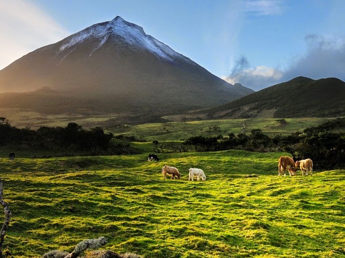 PICO, THE GREY ISLAND – AEA