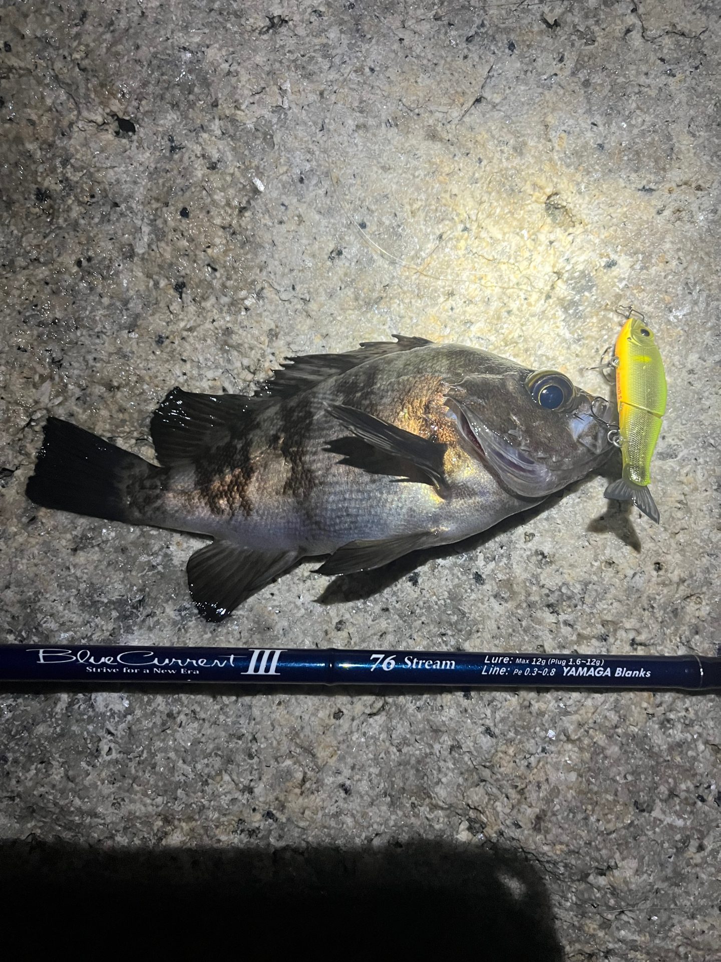 ブルーカレントⅢ 76ストリームでプラグメバリング | madaoもアジング