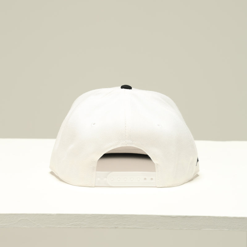 FLAT VISOR CAP フラット バイザーキャップ – allstarjapan