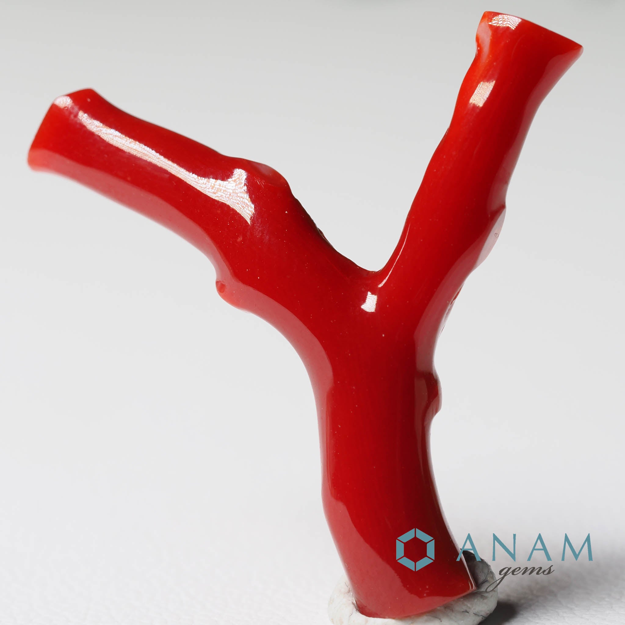 高知産 血赤珊瑚 枝 ルース‖ANAM gems（アナムジェムズ）-ハンドメイド