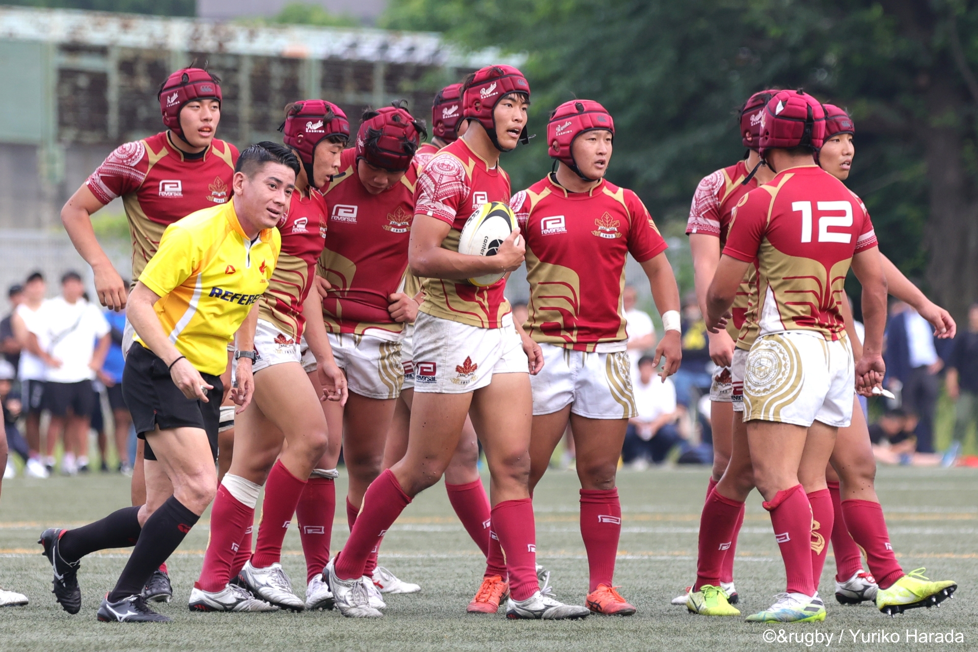 今年の色｜流経大柏｜いざ、花園へ 2023│＆rugby
