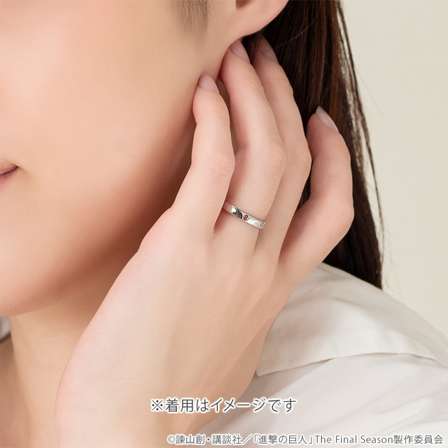 進撃の巨人」戦わなければ勝てない― エレン、ミカサ、リヴァイたちの