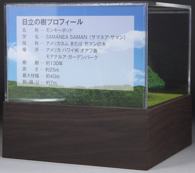HITACHIこの木なんの木オルゴール日立創業100周年記念 玩具 ホビー