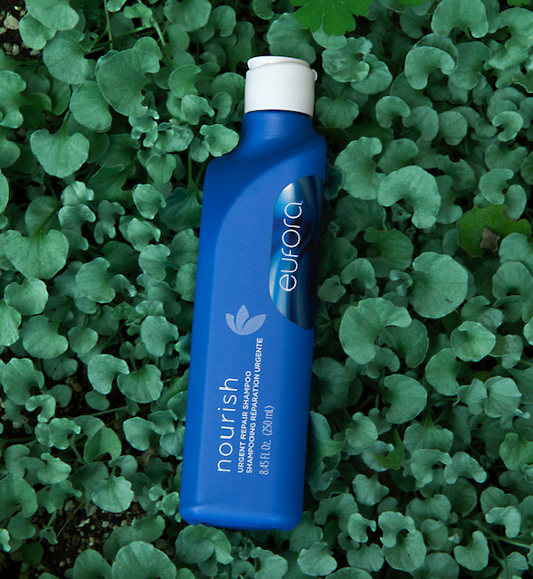 この夏おすすめ！ユフォラの… | asha（アシャ）兵庫芦屋・神戸本山