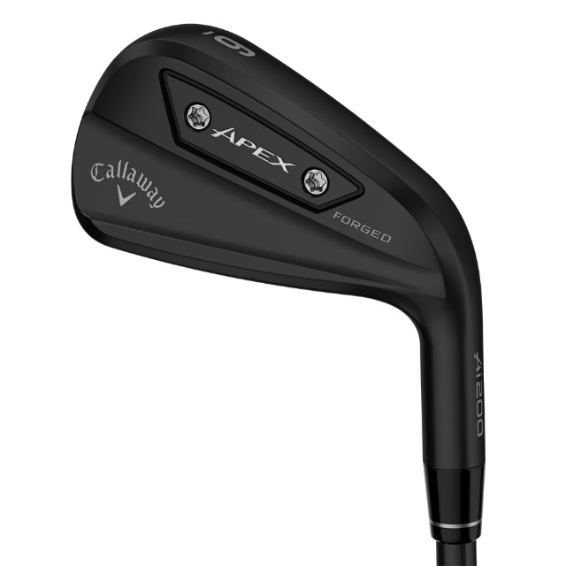 エイペックス Ai200 ブラック／APEX Ai200 BLACK アイアン6本セット