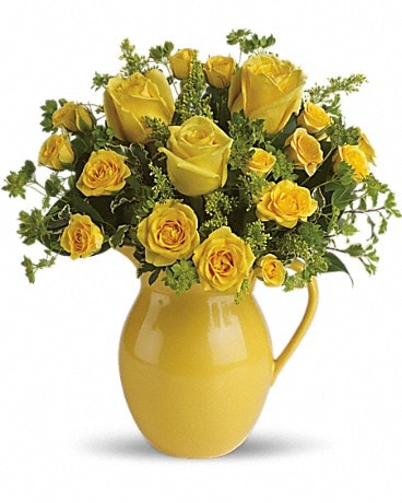 Teleflora's Sunny Day Pitcher of Roses - by Albert's Flowers