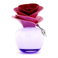 サムデイオードパルファムスプレー(ジャスティンビーバー)の通販