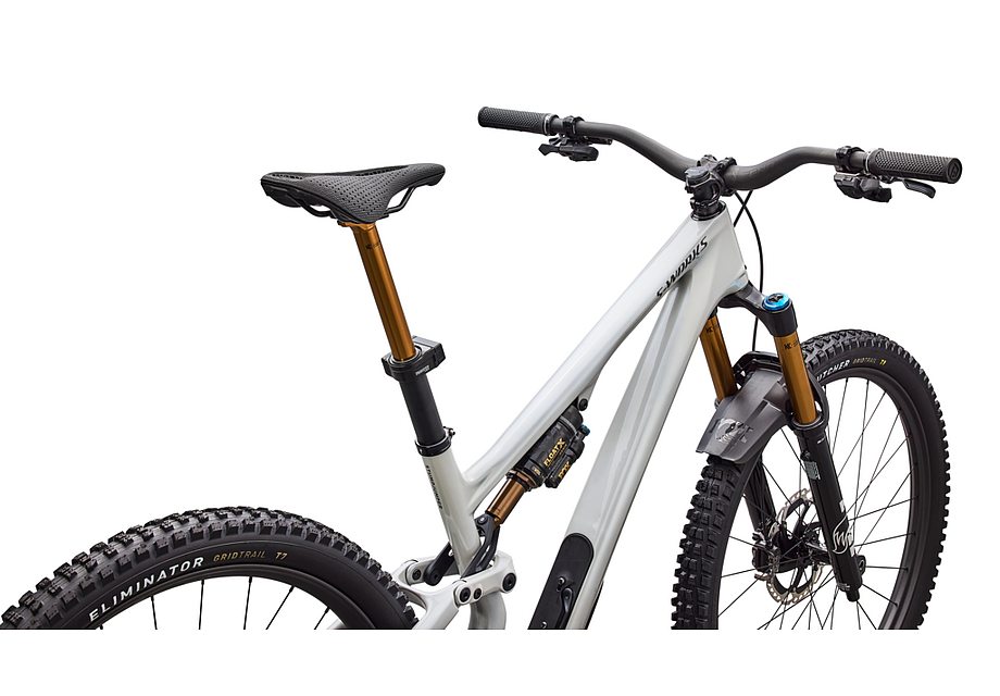 S-WORKS STUMPJUMPER 15 EVO DI2 DLMMET/SMKLQDMET S3(S3 グロス