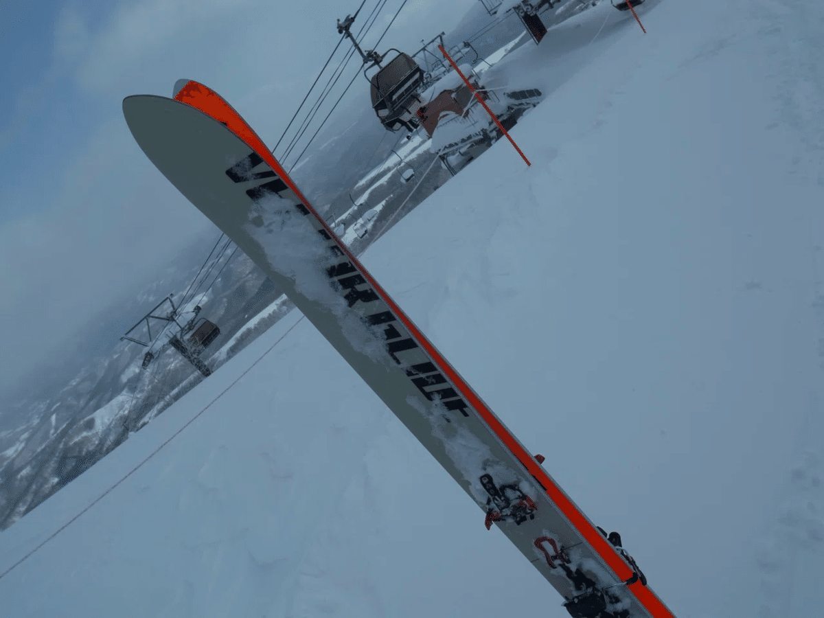 ベクターグライド GENIUS Narrow + デュークPT16 185cm ベクター