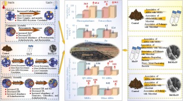 Enhanced remediation of co-contaminated agricultural soils under