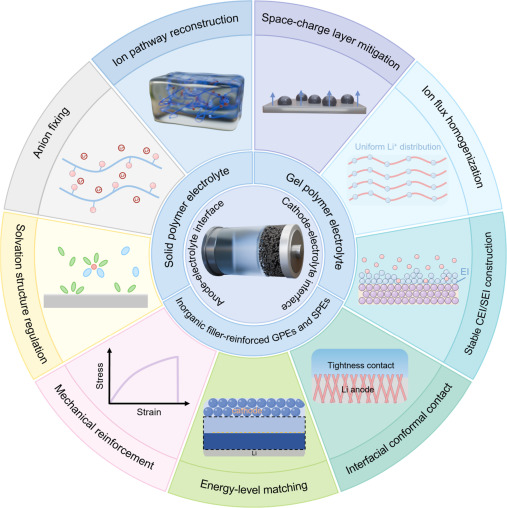 Polymer electrolyte-mediated interfacial chemistry for high
