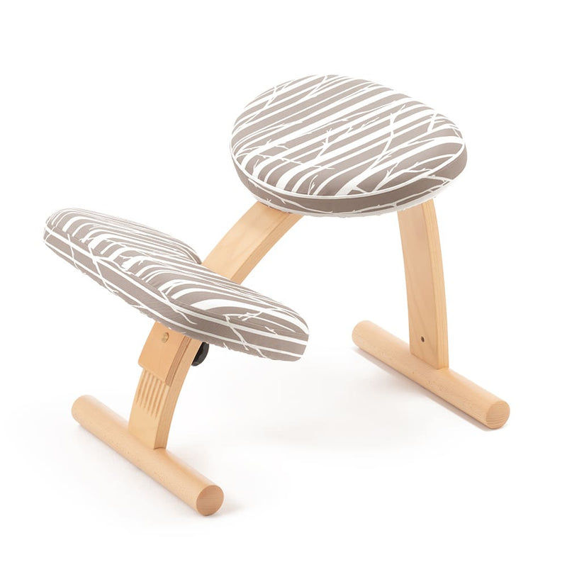 バランス イージー専用｜推しカバー Branch ブランチ バランスラボ