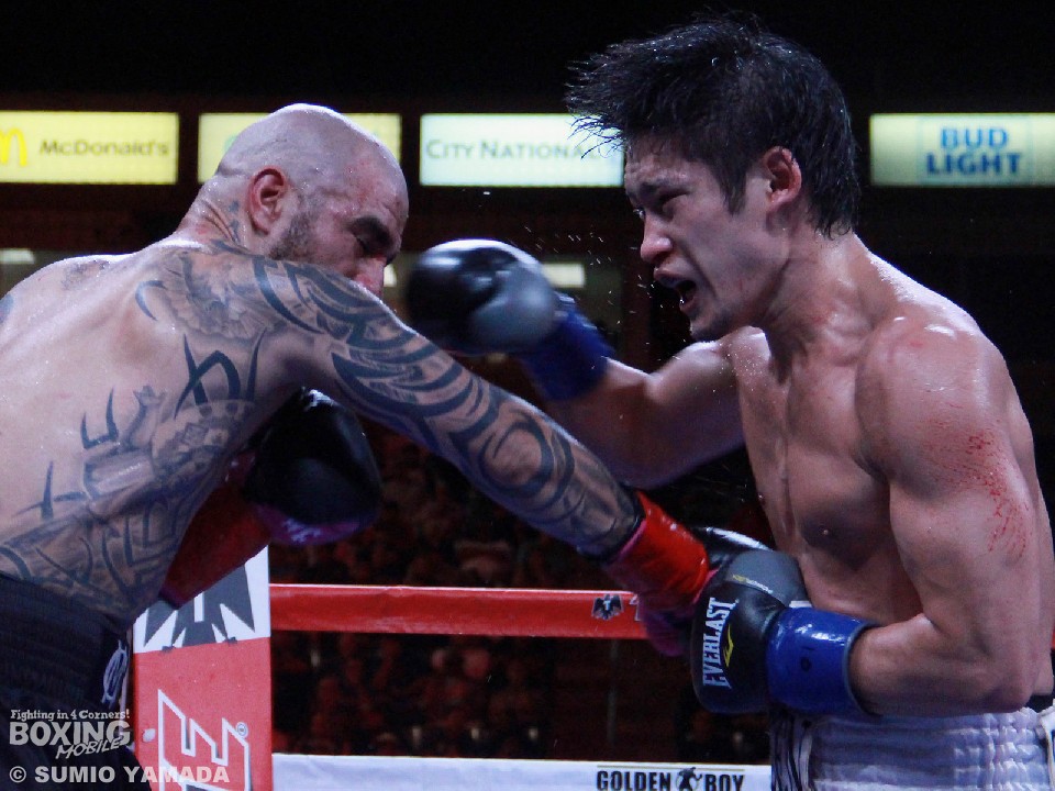 コットの返り咲きか、亀海喜寛の戴冠か | ボクモバニュース