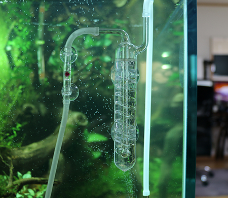 CO2ビートルカウンター＆カボーションルビー設置 | 我輪の奇妙な冒険