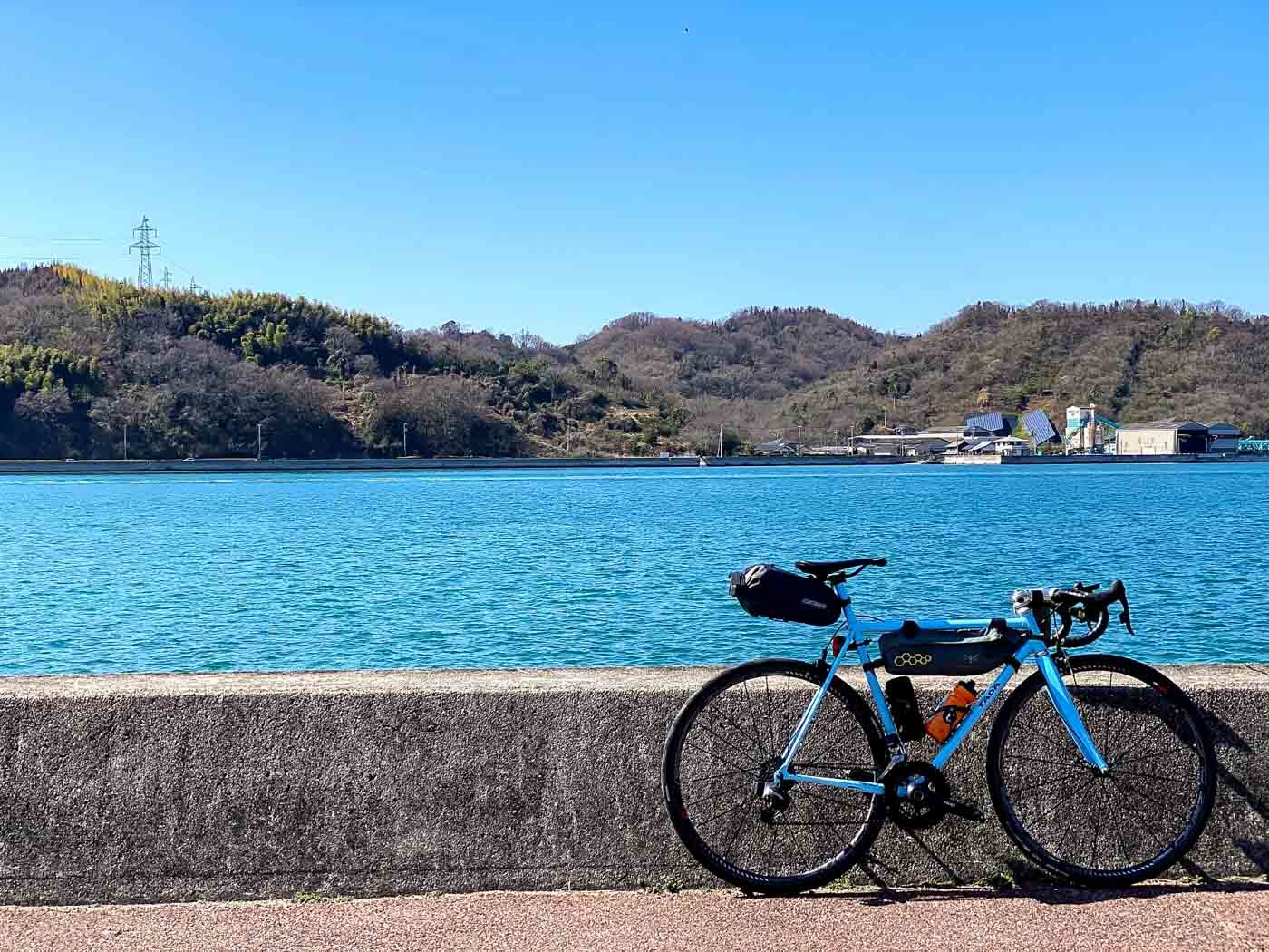 サドル】fabric Scoop Shallow proを愛用してみての長期レビュー