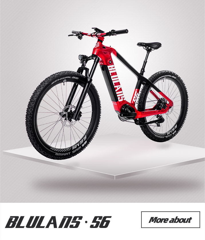 訳有 電動アシスト自転車 BLULANS S8 カーボンフレーム 訳有 電動