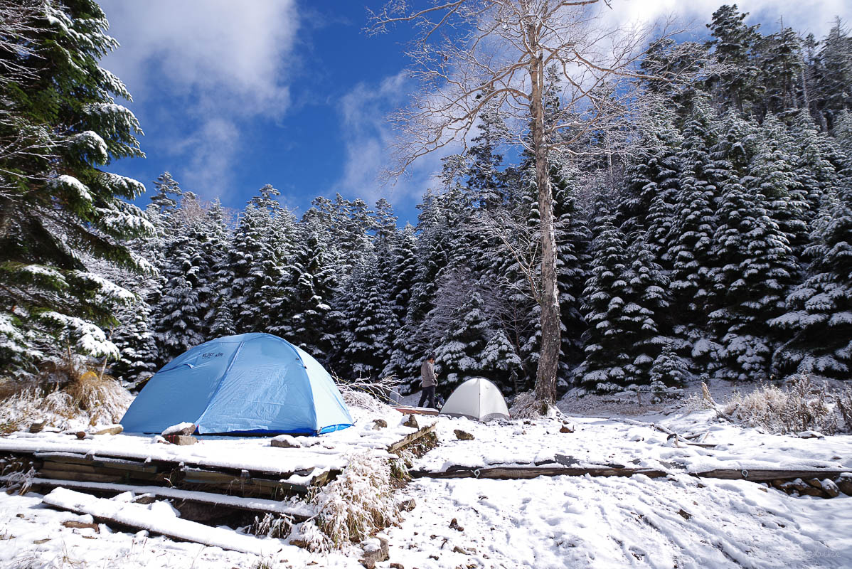 プロモンテ VL26T用 テント用フライシート【新品】VL26TF テント