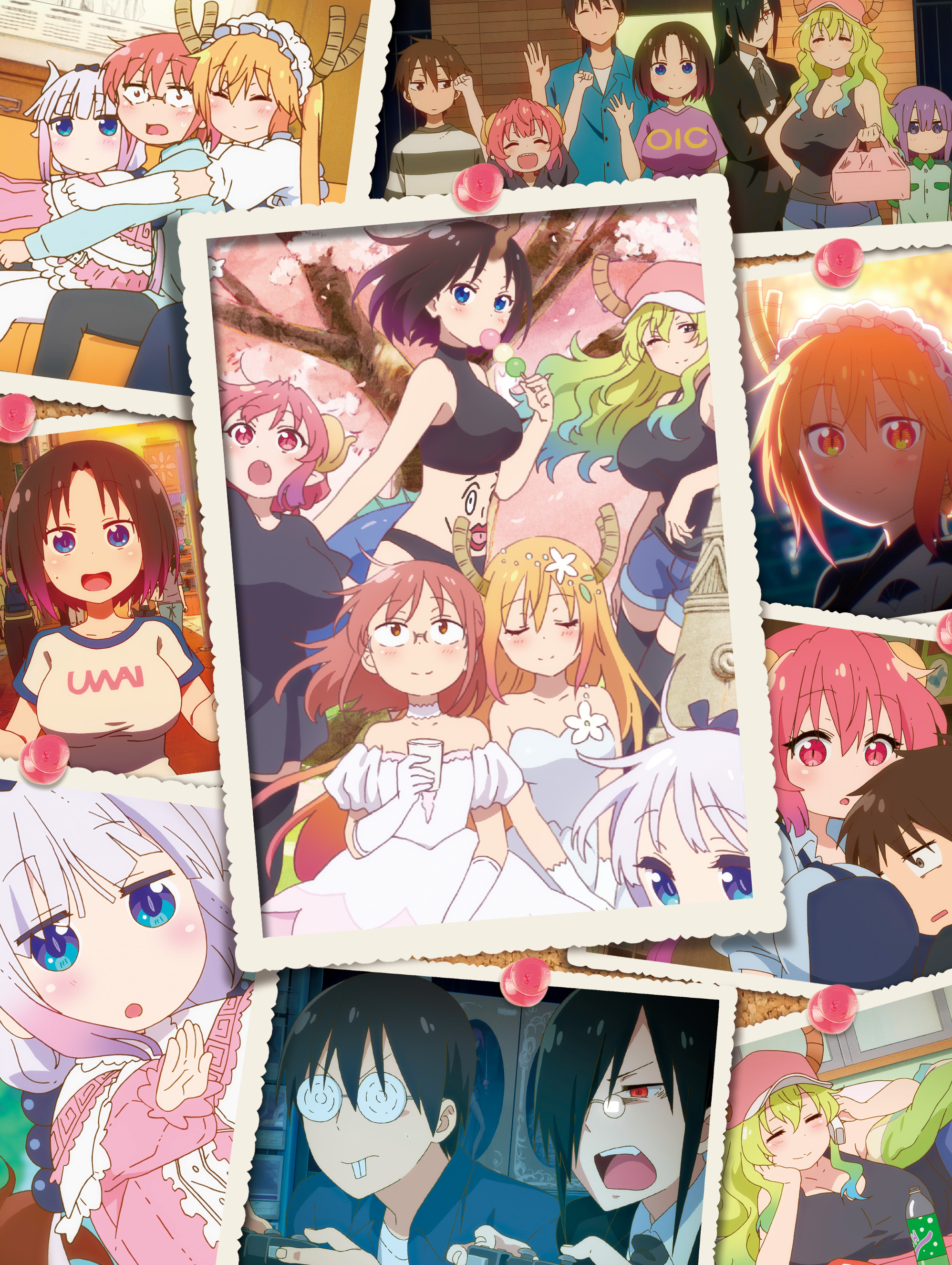 小林さんちのメイドラゴン⑦ | きゃにめ